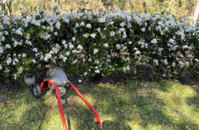 Leak Detection_032
