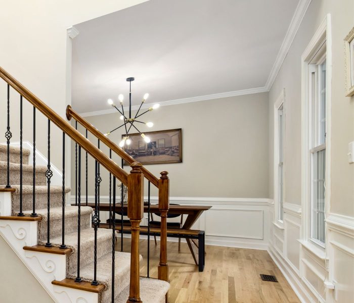 Modern House Interior painting